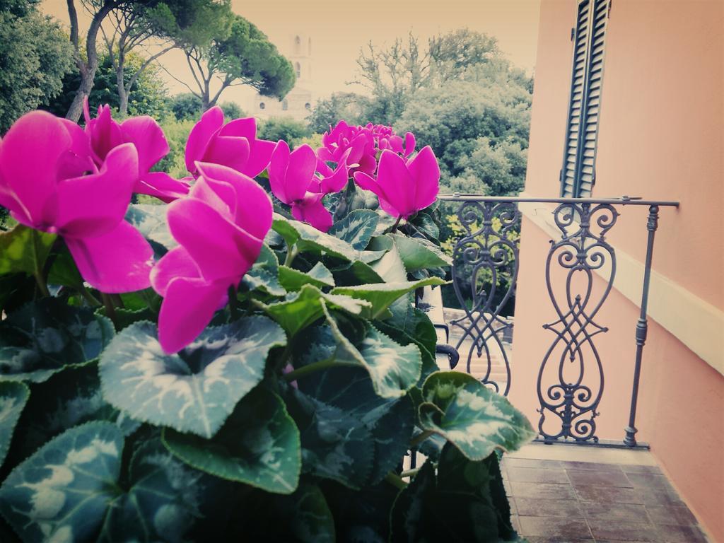 Hotel Rosalba פרוג'ה מראה חיצוני תמונה